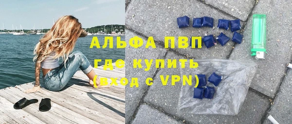 гашик Аркадак