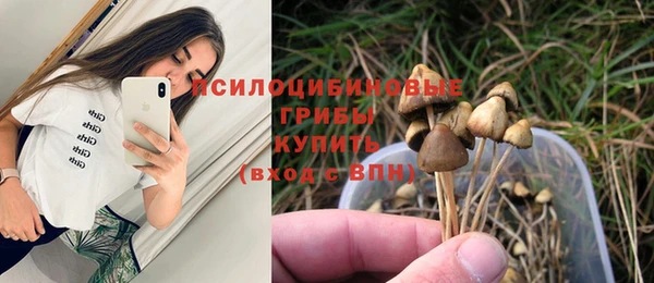 винт Армянск