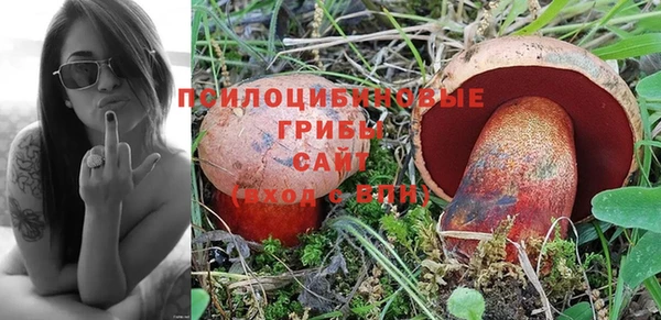 винт Армянск