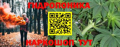 гашик Дубна