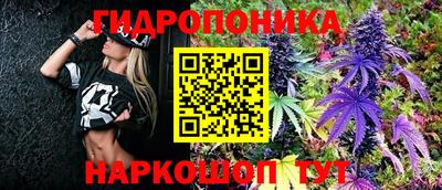 гашик Дубна