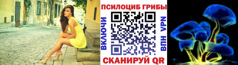 Галлюциногенные грибы Psilocybe  hydra как войти  мориарти наркотические препараты  Кубинка 