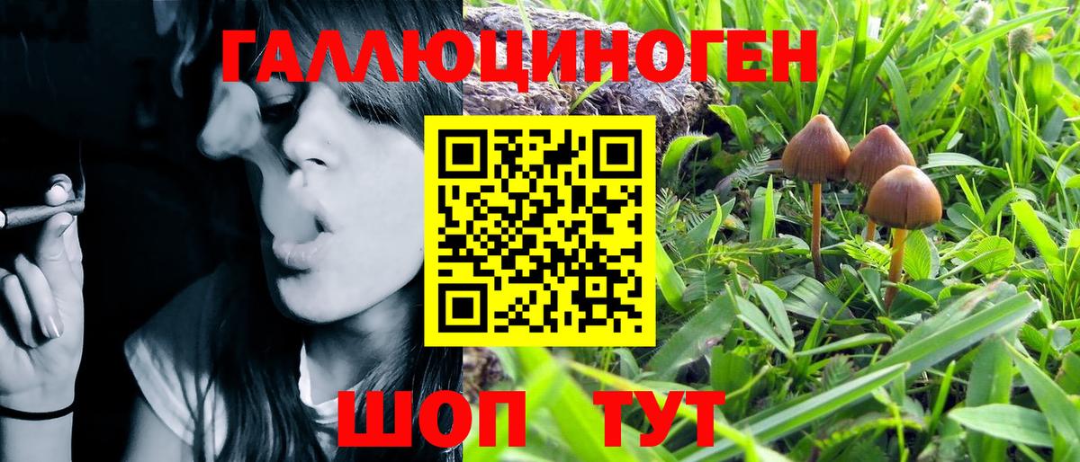 Псилоцибиновые грибы Psilocybine cubensis Кубинка