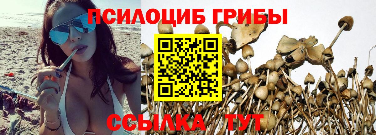 Галлюциногенные грибы GOLDEN TEACHER  Вход с VPN  Кубинка 